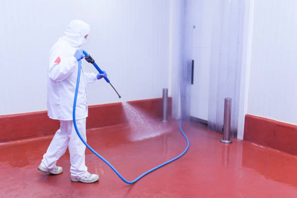 Best Pool Deck Cleaning  in Kelso, WA