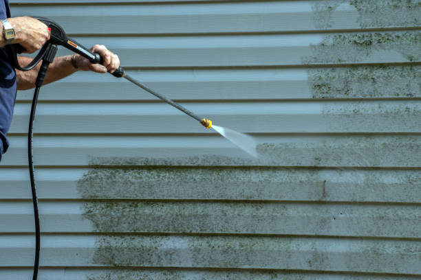 Best Patio and Deck Pressure Washing  in Kelso, WA